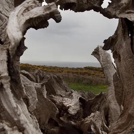 招待所 La Marina *